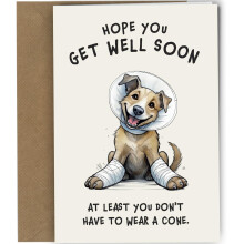 Funny Get Well Soon Card, Dog with Cone, Get well Card from the dog or to loved one/Friend, Recyclable #1675