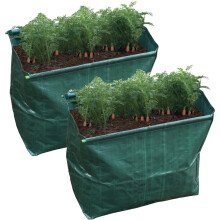 St Helens Home & Garden Carrot Planter - Pack of 2