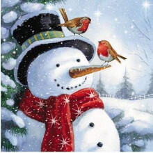 Charity Christmas Cards (MED-CHMT0011) Snowman and Robins - Pack of 6 - in Aid of Multiple Charities