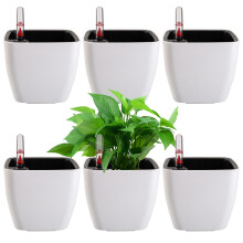 yarlung 6 Pack Self Watering Planter with Water Level Indicator, 5 Inch/12.7cm Plastic Plant Flower Pots Nested Container for Indo