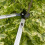 Wilkinson Sword Ultralight 24" Bypass Loppers 2