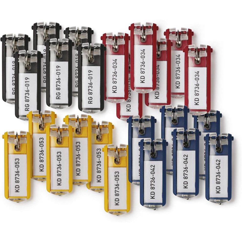Durable Key Clips - Pack Of 24 Innovative Key Clips For Clear And Easy Organisation Of Keys - Perfect For Use With Durable Key Safes 5009812353842