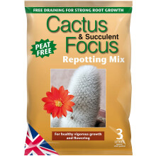 CACTUS Soil -Cactus & Succulent Focus Repotting Mix, 3 litres - Growth Technology Potting Soil for Indoor Plants - Peat-Free Compo
