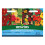 Unwins WestLand "4 in 1 Nasturtium Seed Collection 1