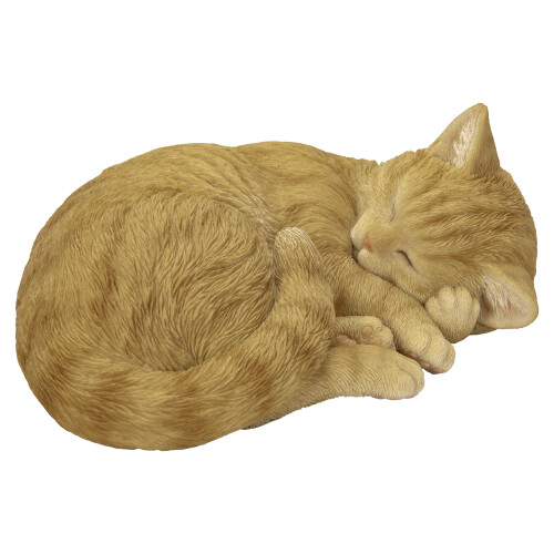 Vivid Arts - Sleeping Cat Ginger - XRL-ZC31-D