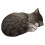 Vivid Arts - Sleeping Cat Tabby - XRL-ZC33-D 1