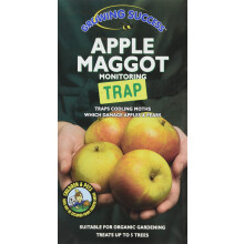 Growing Success Apple Maggot Monitoring Trap