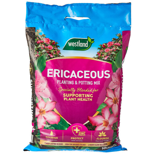 Westland Westland 11400006 Ericaceous Compost, Pink