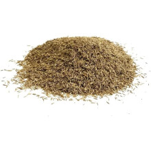 Shady Area Lawn 1Kg Seed Grass Shade ( Covers 25 Square metres ) LGH