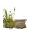 SuperFish Superfish Marginal Plant Bag - 100x60cm 2