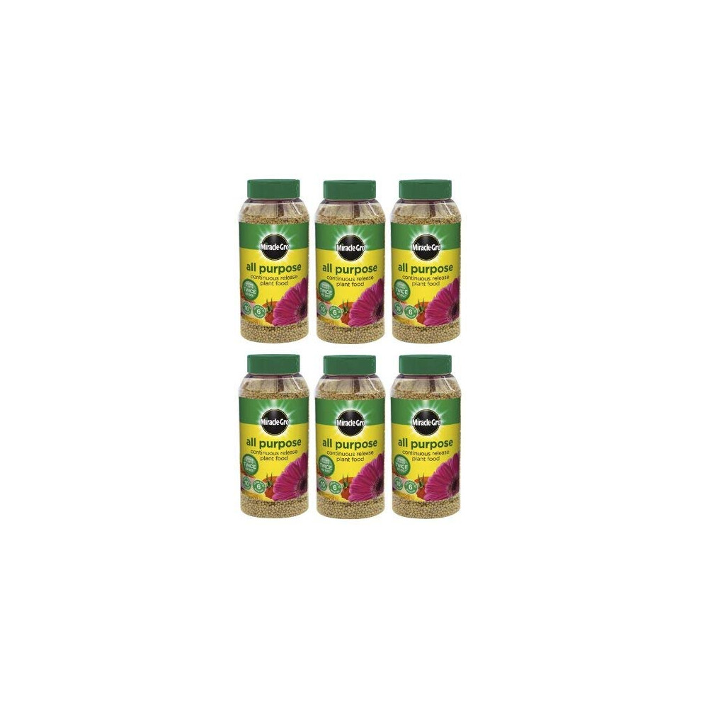 Miracle-Gro 6 X Slow Continuous Release All Purpose Plant Food, 1Kg Shaker Jar
