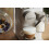 Nespresso Nespresso Descaling set 4