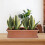 Whitefurze Venetian Window Box Tray 40Cm Terracotta 2