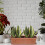 Whitefurze Venetian Window Box Tray 40Cm Terracotta 3