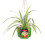 Sass & Belle Floral Frida Hanging Planter 2
