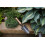 Kent & Stowe Carbon Steel Hand Trowel 2