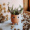 Sass & Belle Little Leggy Terracotta Planter 3