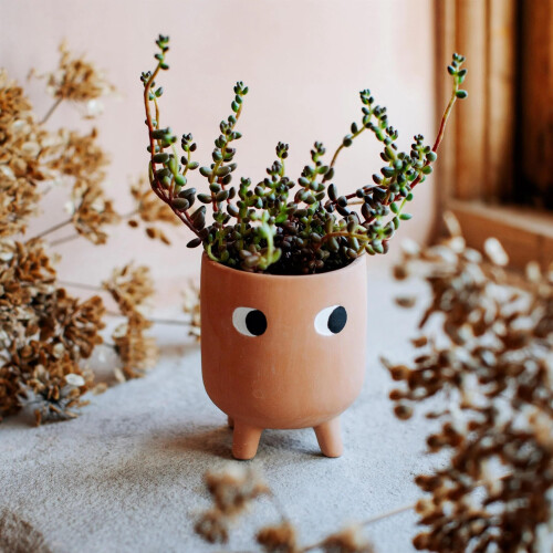 Sass & Belle Little Leggy Terracotta Planter 2