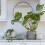 Ivyline Celeste Planter 2