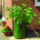 Gardman Grow It 09118 Potato Planters 2