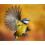 Tom Chambers Heavy Duty Flick 'N' Click 2 Port Seed Feeder 2