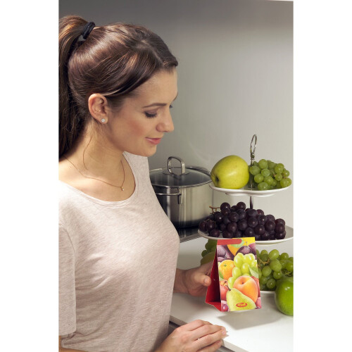 Aeroxon Fruit Fly Trap 3 Piece, Multi-Colour, 18x13x4 cm 2