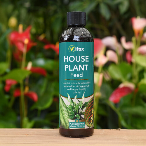 Vitax Vitax House Plant Feed 1