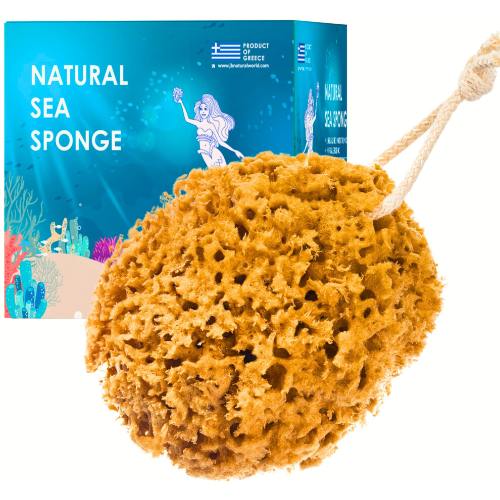 Jordan Benedict Natural Sea Sponge, Unbleached Honeycomb Bath Sponge, Exfoliating Bath Sponges For Adults, Organic Shower Sponges For Women And Men