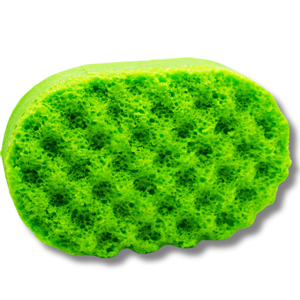 Rainbow Sensation Exfoliating Soap Sponges - Perfume/Aftershave Fragranced - Vegan Friendly - Cruelty Free (Millionaire (Men))