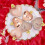 Heart Ornaments Red Pink Silver 24PC for Valentine 5