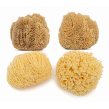 Natural Ocean Sponges | Soft, Natural &Yellow sea sponges for Newborn Babies Bath 0-8M | Facial Cleansing, for Arts & Craft Set - Size XSmall