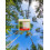 eco3spa Hot Tub Aromatherapy Crystals (Forest Tonic) 1
