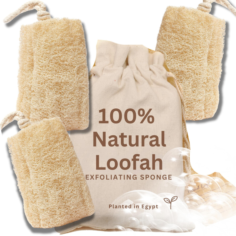 Craftsofegypt Exfoliating Body Scrubber Loofah Sponge - Natural Egyptian Bath & Shower Scrubbers For Face, Back & Body - Biodegradable Luffa Wash Exfoliator