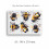 Bumblebee Vinyl Decal Stickers, Cover Marks, Bee Wall Decor, Gift Idea 3