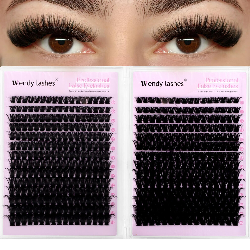 Wendy Lashes Individual Eyelashes,594Pcs 80D+100D Cluster Lashes Kit D-Curl 10-18Mm Eyelash Clusters Fluffy Russian Eyelashes Extensions Natural Look Diy Lash