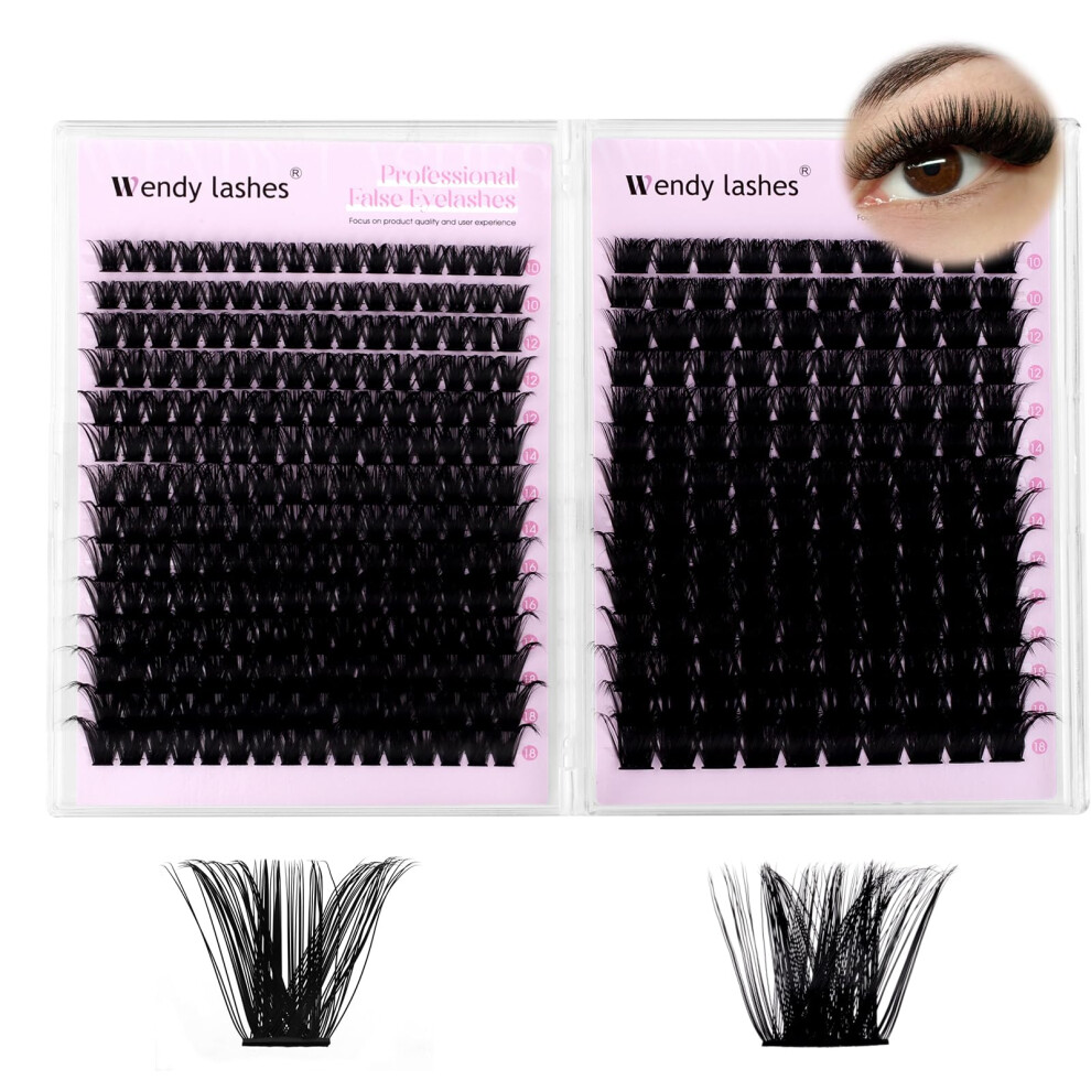 Wendy Lashes Individual Eyelashes,200D+250D Cluster Lashes Kit D-Curl 10-18Mm Eyelash Clusters Fluffy Russian Eyelashes Extensions Natural Look Diy Lash