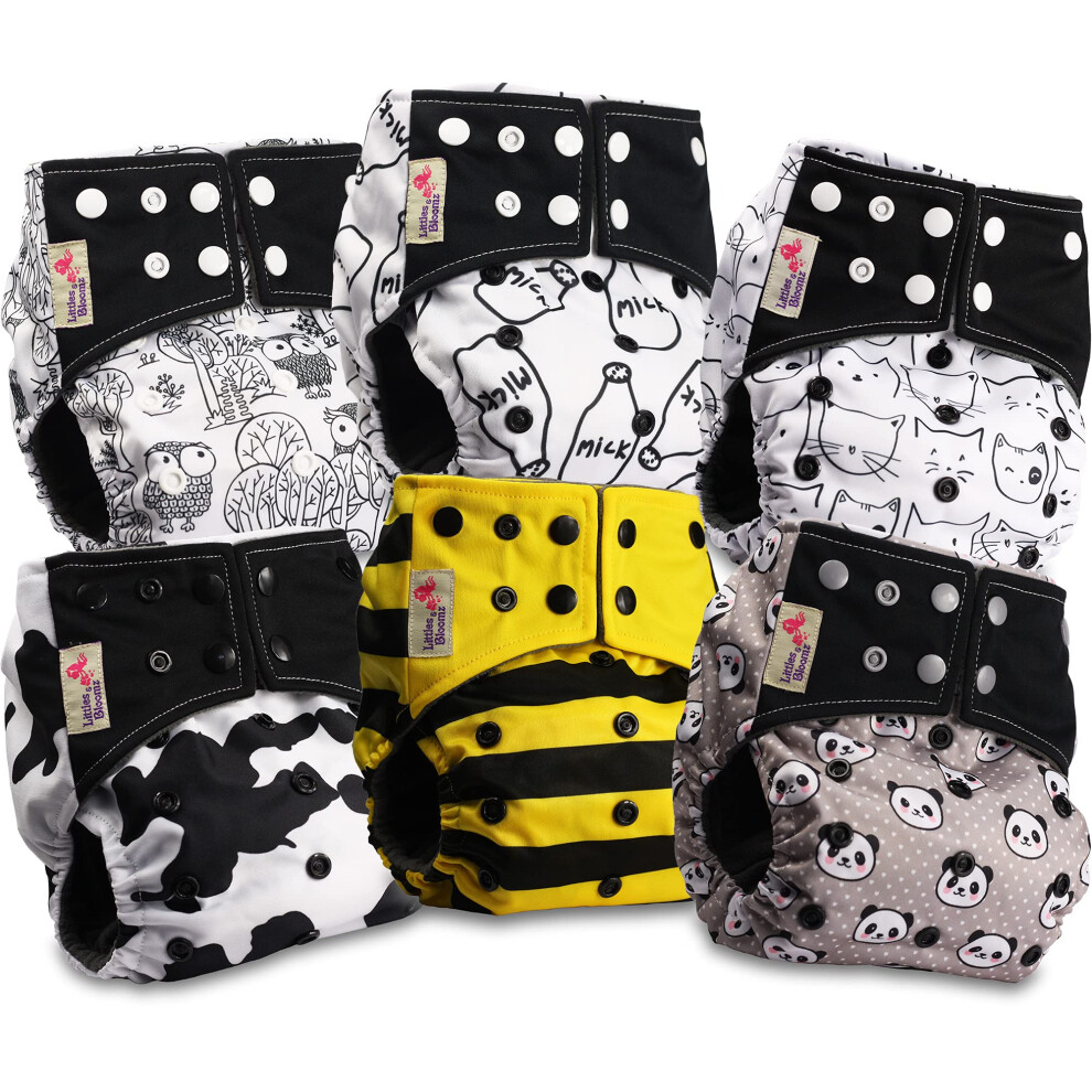 Littles & Bloomz Reusable Nappies Baby Pocket Cloth Diaper, Charcoal Popper, 6 Nappies, Bcp-0602