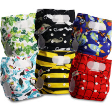 Littles and Bloomz Baby Reusable Pocket Nappy Cloth Diaper, Standard Hook-Loop, 6 Nappies, FLV2-0609