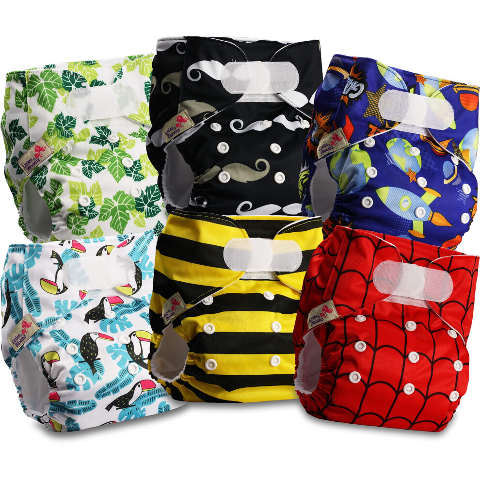 Littles & Bloomz Littles And Bloomz Baby Reusable Pocket Nappy Cloth Diaper, Standard Hook-Loop, 6 Nappies, Flv2-0609