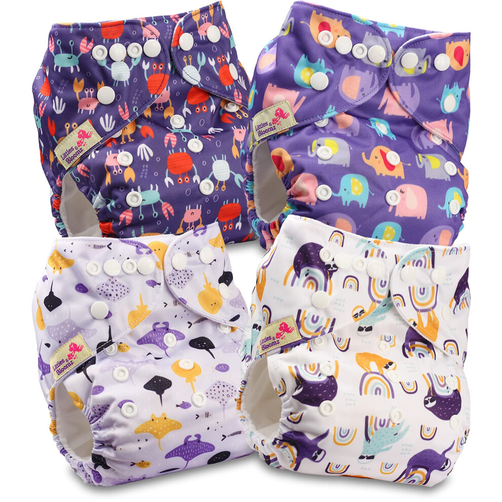 Littles & Bloomz Littles And Bloomz Baby Reusable Pocket Nappy Cloth Diaper, Standard Popper, 4 Nappies, Flp2-0404