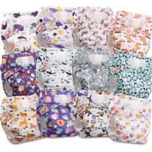 Littles and Bloomz Baby Reusable Pocket Nappy Cloth Diaper, Standard Hook-Loop, 12 Nappies, FLV2-1202