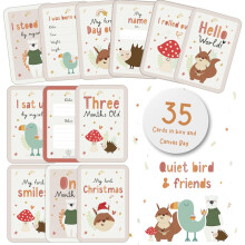 Baby Milestone Cards,Set of 35 in Gift Box & Canvas Bag. Baby Shower Gifts for Mum, New Baby Gift for Boy or Girl