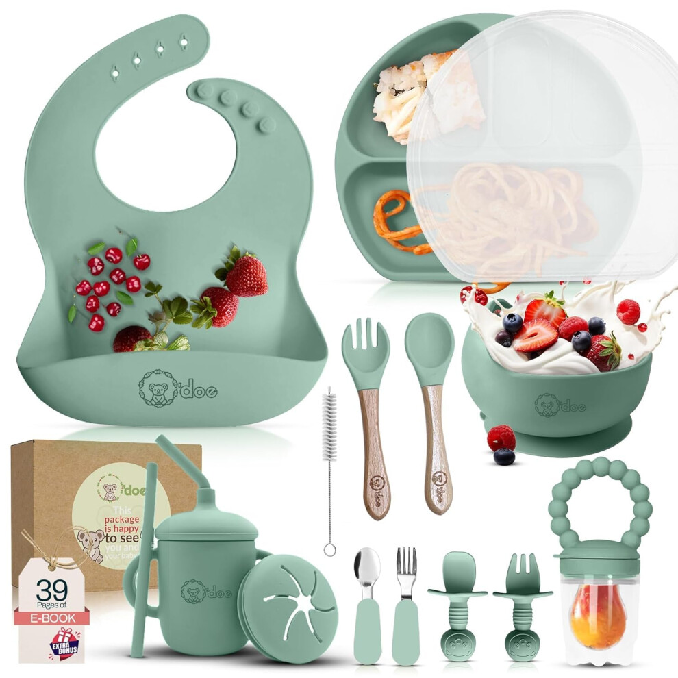 17-Piece Baby Led Weaning Feeding Supplies For Toddlers,Baby Feeding Set | Suction Silicone Baby Bowl Self Eating Utensils With Fruit Feeder, C O'doe