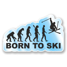 2 x 10cm Born to Ski Vinyl Sticker Laptop Helmet Skiing Mountains Fun #6592 (10cm Wide x 6cm Tall)