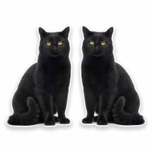 2 x 15cm/150mm Black Cat Vinyl SELF Adhesive Sticker Decal Laptop Car Travel Luggage Label Tag #9641