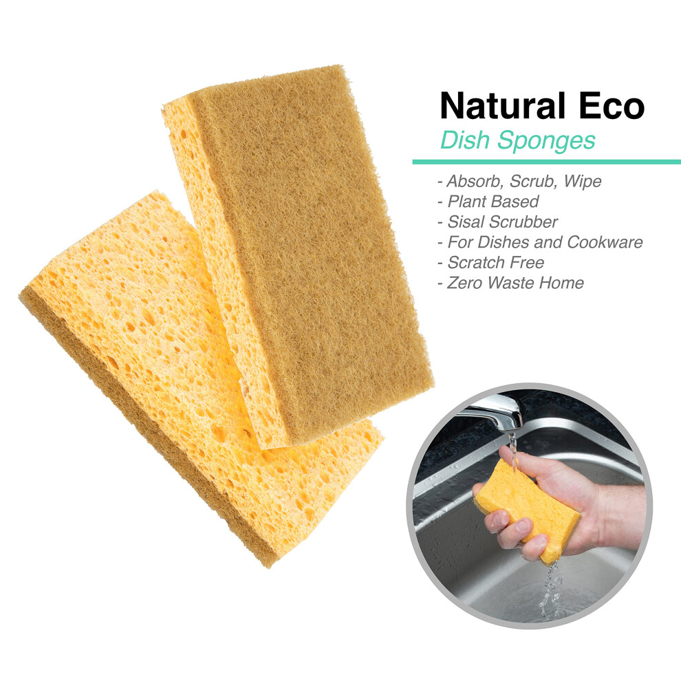 Glengor Eco Washing Up Dish Sponges, Pack Of 6. Natural Materials, Biodegradable, Non Scratch Zero Waste, Eco Friendly, Sisal Cellulose Scourers 5051226664502
