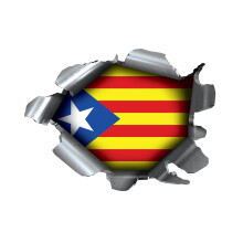 Speed Demons Pride Burst RIP Torn Tear Sticker Graphic SELF Adhesive for Any Surface Including LAPTOPS and Cars - Catalonia Catalan Catalunya Nationa