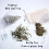 Tea Pigs Silver Tips White Teabags 3