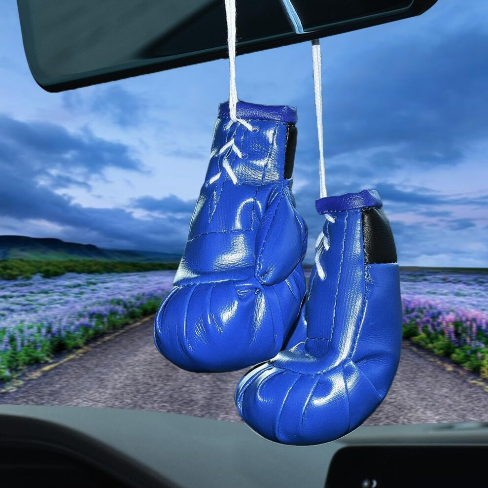 Jscarlife1 Pairs Mini Boxing Gloves For Car Mirror, Boxing Gloves Pendant Boxing Gloves Hanging Miniature Punching Gloves For Home Car Accessories 5051226543067
