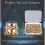 150PCS M3 Threaded Inserts, M3 Heat Set Inserts, Brass Threaded Insert, Brass Insert Nut with Soldering Iron Tip 2